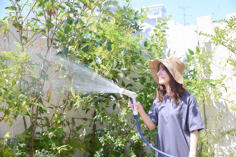 水やり代行サービス