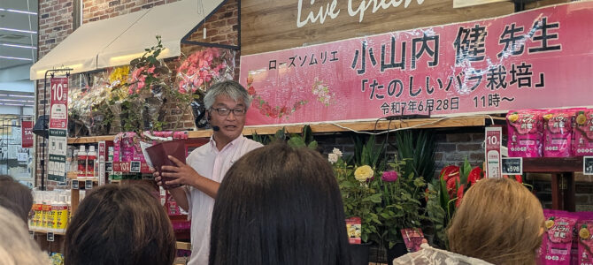 夏のバラ栽培がうまくいく!小山内健流・水やりと鉢の工夫で猛暑対策を 夏のバラ栽培がうまくいく!小山内健流・水やりと鉢の工夫で猛暑対策を
