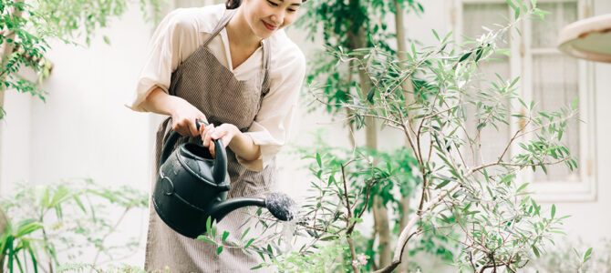 【夏の旅行も安心】鉢植えの水やり対策 【夏の旅行も安心】鉢植えの水やり対策